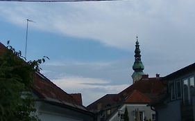 Zentrales kleines Appartment
